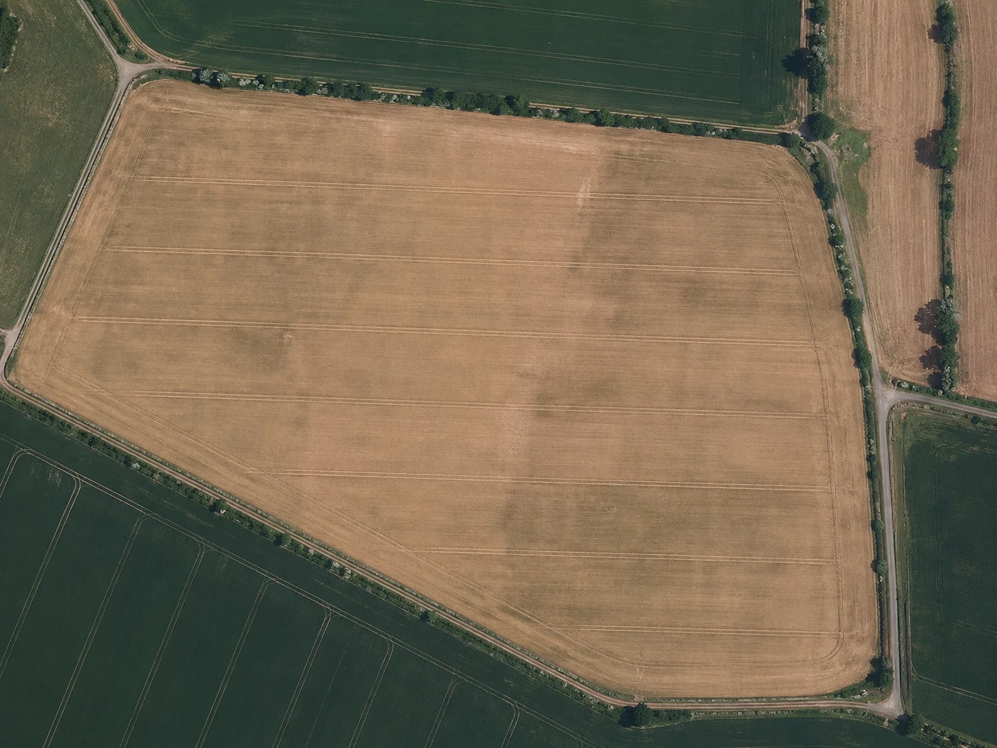 Satellite view of a rapeseed field with machinery tracks, compared against vegetation index layers
